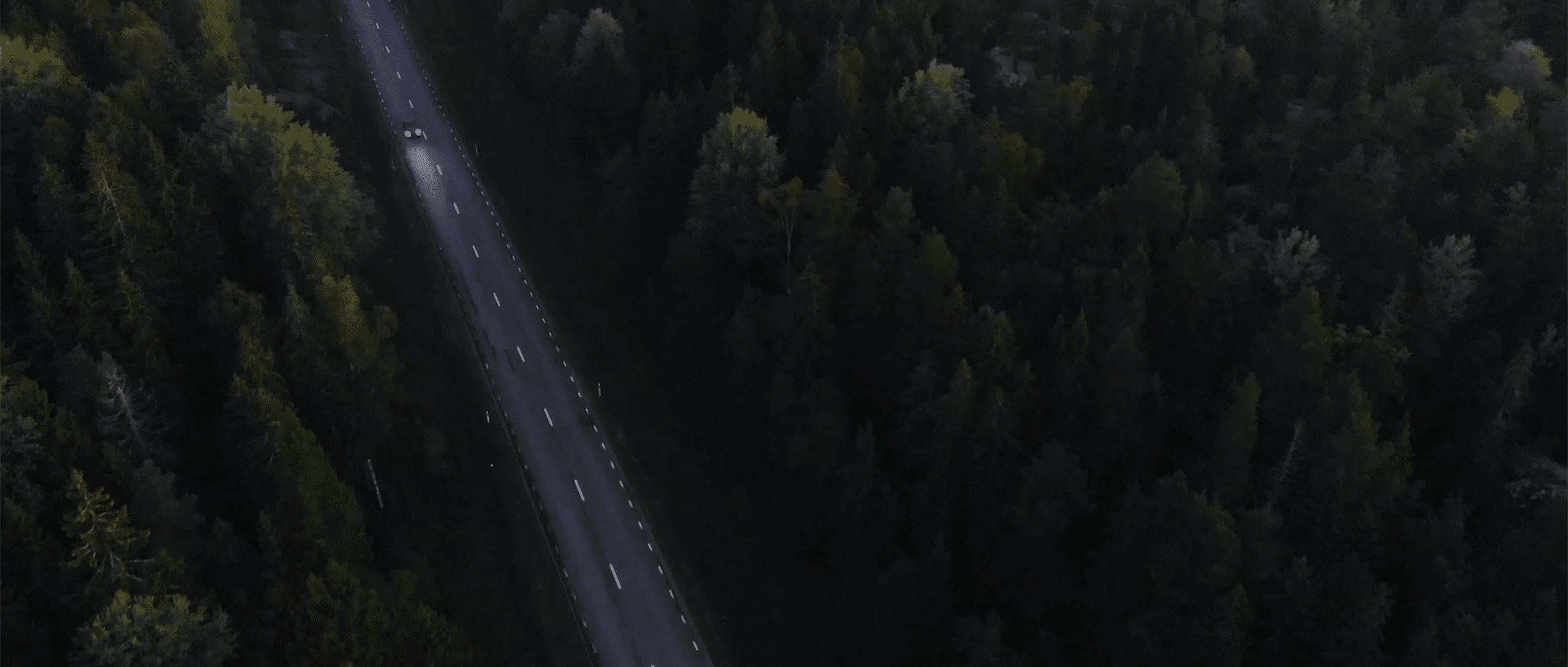 Car driving on road through forest